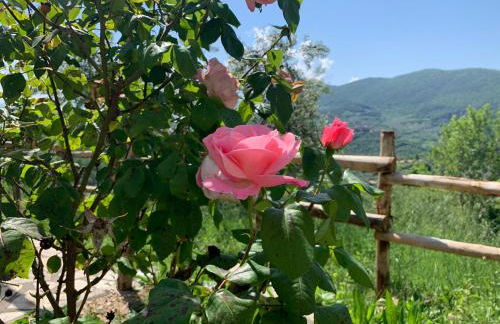 Agriturismo La Terrazza su Farfa - Foto 63