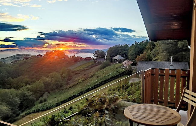 Vineyard cottage Soncni gric - Foto 17