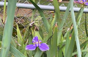 Lakeview Retreat - Foto 52