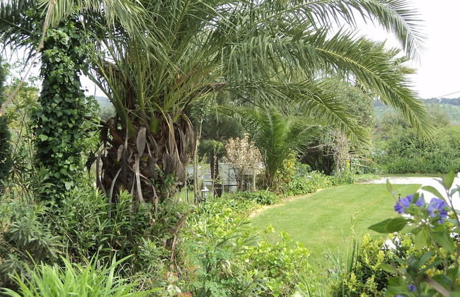 Quinta Retreat With Pool and Olive Grove - Foto 30