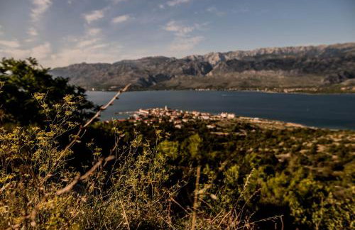 La Familia, Zadar, Vinjerac - Photo 36