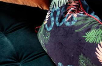 The Peacock - Artsy East Hill Getaway - Foto 27