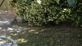 Grand studio - Foto 3