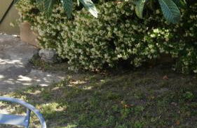 Grand studio - Foto 3