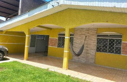 Flor da Primavera - Foto 13