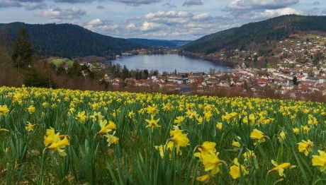 Charmant logis Gérardmer - Foto 4