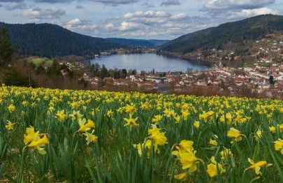 Chalet l'Appel de la Forêt - Foto 54