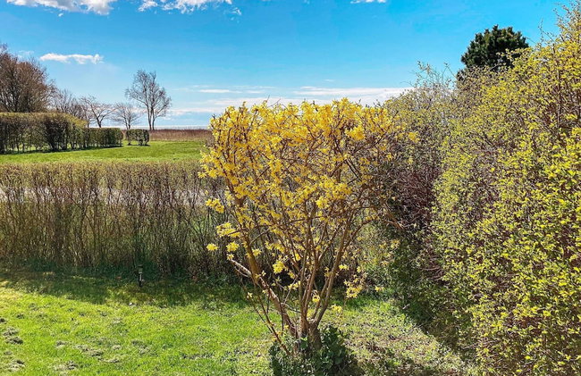 6 Person Holiday Home in Nysted-by Traum - Foto 25