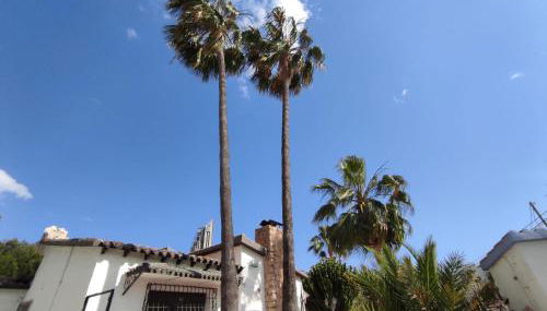 Villa con piscina a un paso de la playa - Photo 3, Garden