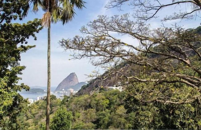 Chez Georges - Foto 39