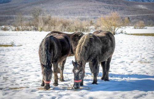 Kuća za odmor - POD VELEBITOM - Foto 4