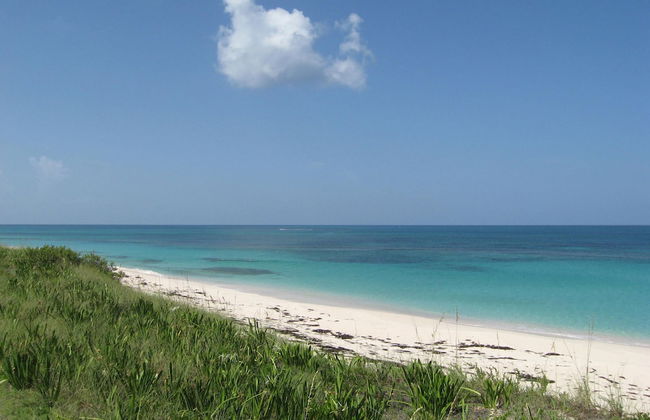 Buttonwood Reserve 1B - Foto 30