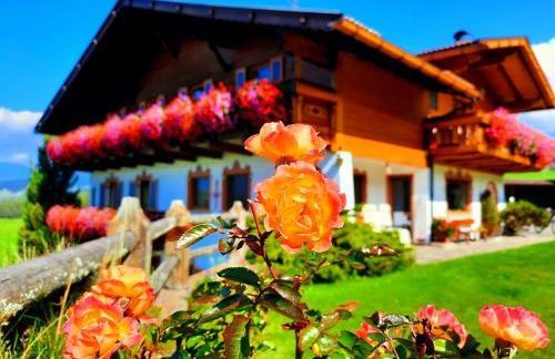 Binterhof - Foto 12