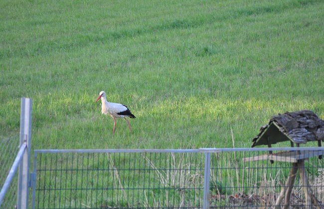 Elbhus Hamburg - Foto 44