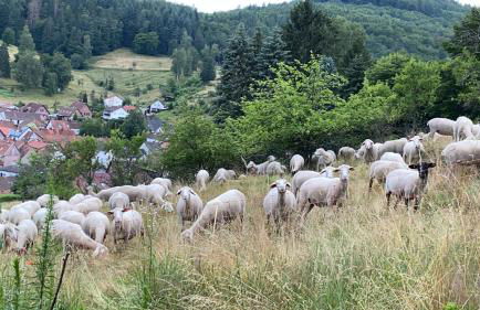 Haus Marta - Photo 54