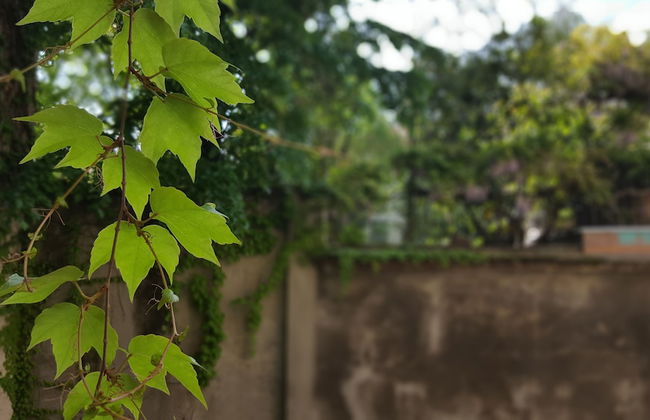 BnButler - Broletto - Foto 27