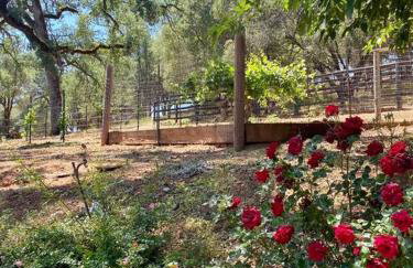 B-B Ranch Cottage~Heart of Gold Country~*HOT TUB* - Foto 55