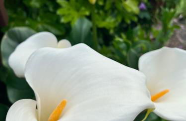 Spacious Retreat w/ Hot Tub. Perfect for Families - Photo 25