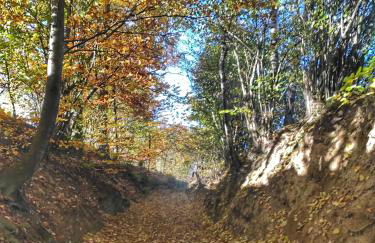 Emyda' s Tropical Home at Goldsteig trail - Foto 30