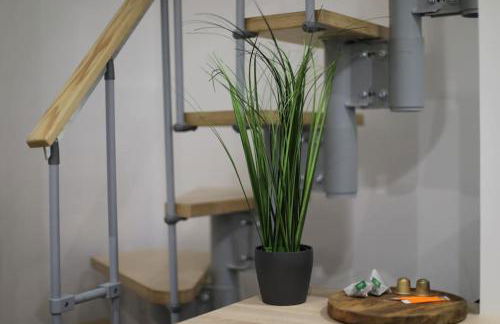 Duplex with private outdoor spa close to Strasbourg city center - Foto 19