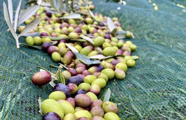 Agriturismo La Corte del Sole - Photo 67