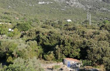 Apartman Mi - Foto 21