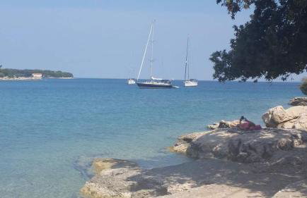 Golden sunset apps - Foto 26