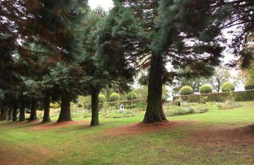 2-Zimmer-Ferienwohnung mit 2 Balkons - Golf, Bike & Wellness im Markgräflerland! - Foto 21