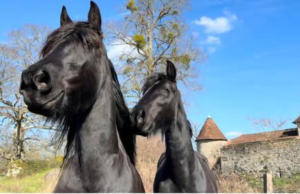 The Burrow, Oradour ST Genest - Foto 18