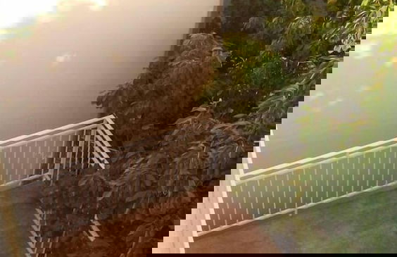 Sutomore View - Foto 7