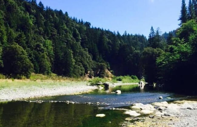 Redwoods River Resort - Foto 51