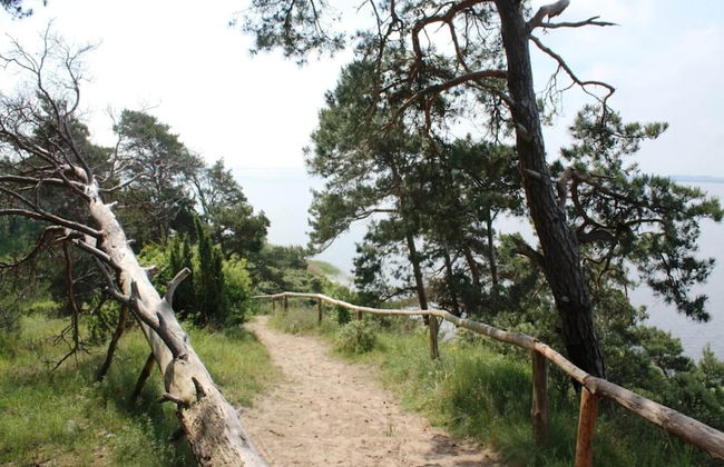 Ferienhof Neuendorfkrug, Lutow - Foto 21