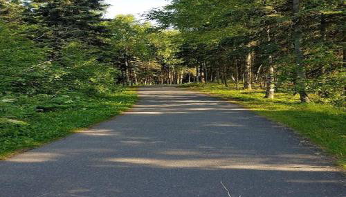 Moose Meadows- Near the airport, centrally located - Foto 3