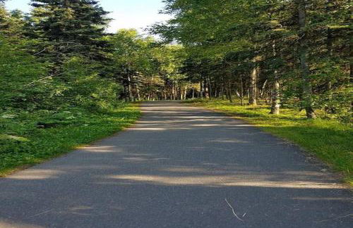 Alaskan WolfDen Close to airport centrally located - Photo 12