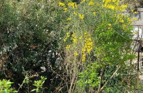 Les 4 mousquetaires - Photo 45