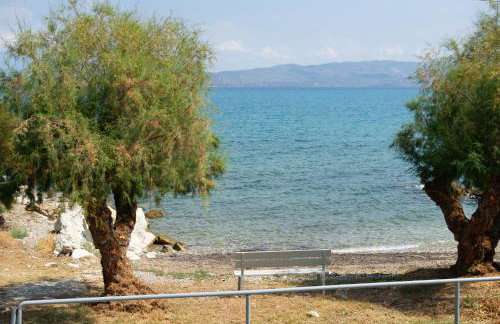 La Mer Bleue Beachfront Boutique Apartments - Photo 29