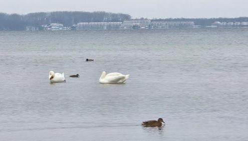Ferienwohnung Feldblick - Foto 5