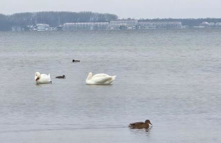 Ferienwohnung Feldblick - Foto 5