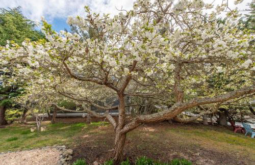 Sequim Escape with Gas Grill and Deck, Walk to Beach! - Foto 30