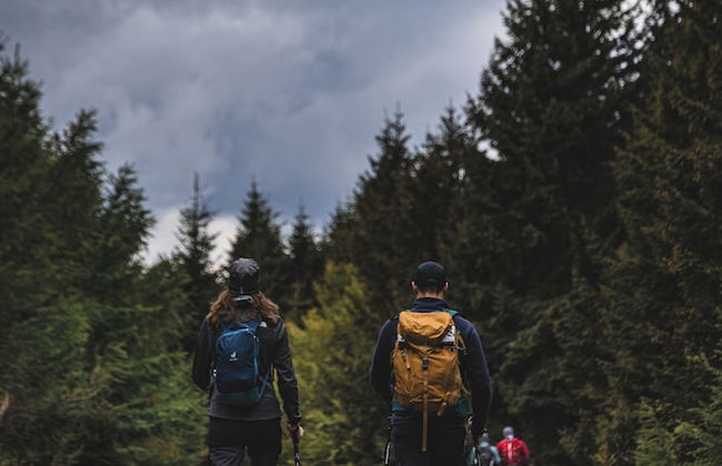 Forest Park Resort & SPA - Foto 38