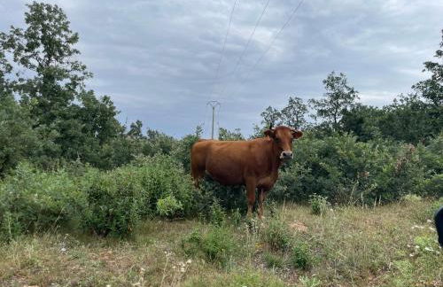 Apartamento Marcajada - Foto 32