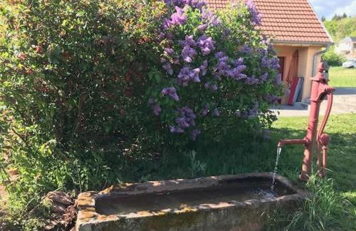 Gîte la Chenevière - Foto 29