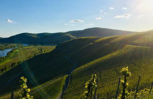 Ferienhaus Mathy - Foto 35