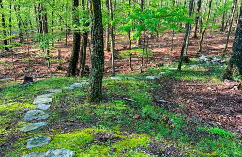 Huge Cabin w Hot Tub, Deck, Grill, Fire Pit, WiFi - Foto 75