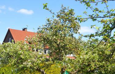 Ferienwohnung Waldblick Bückeburg - Photo 5
