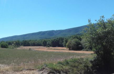 Lou Vergié Maison Provencale au pied du Luberon - Foto 20