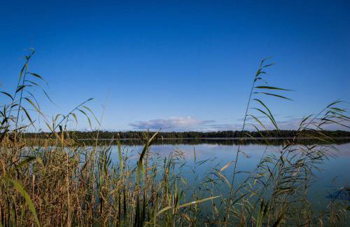 SASKI ZAKĄTEK, WAKACJE W BAJKOWYM DOMKU!!! MAZURY, SAUNA, JEZiORO, POMOST, - Foto 65