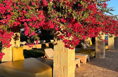 Agrikies Country Retreat - Foto 36