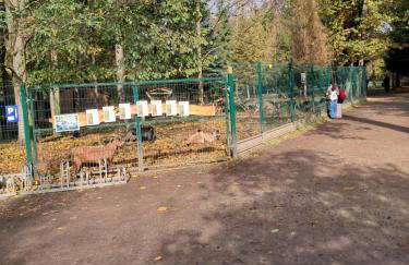 Noclegi Mieszkanie Kuchnia Żywiec - Foto 27