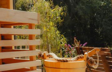 Natursee-Chalet,Spa mit Hot Tub,Jacuzzi,Sauna,Ponyhof,angeln - Photo 29